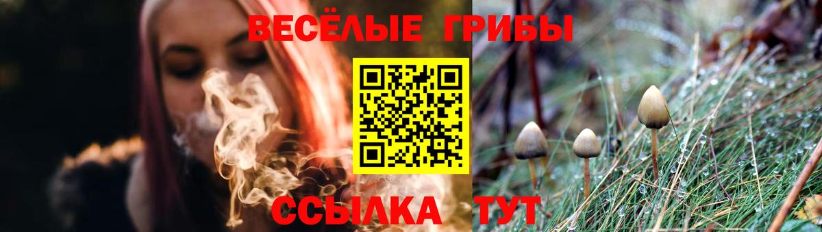 Псилоцибиновые грибы Magic Shrooms Нововоронеж