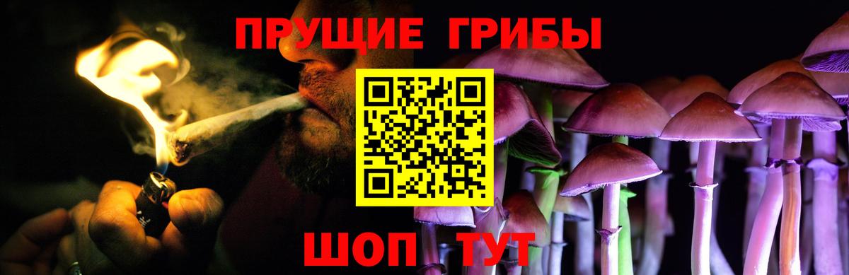 Псилоцибиновые грибы Magic Shrooms  Вход с VPN  Псилоцибиновые грибы Cubensis  Нововоронеж 